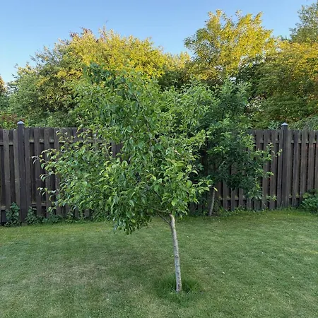 Stylish Close To The Beach, Nature, And Copenhagen *